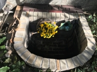 Alicja Majewska - ogród